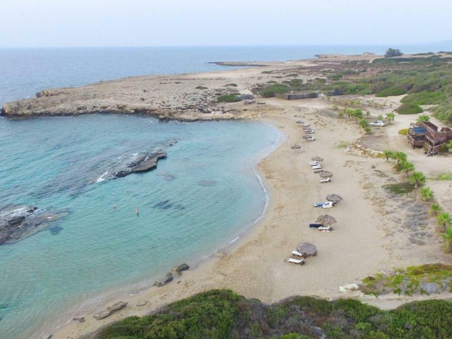 Balci Plaza Hotel And Balci Plaza Guest Bungalows Karpaz Peninsula Selenias Exterior photo